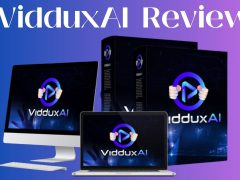 VidduxAI Review